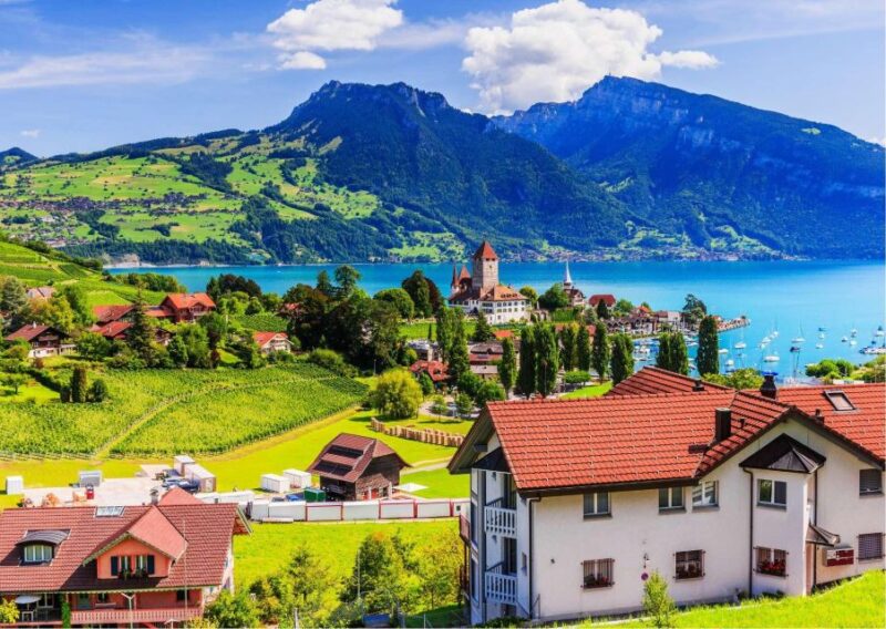 Zurich: Private Car Tour to Swiss Capital, Castles & Lakes - Highlights