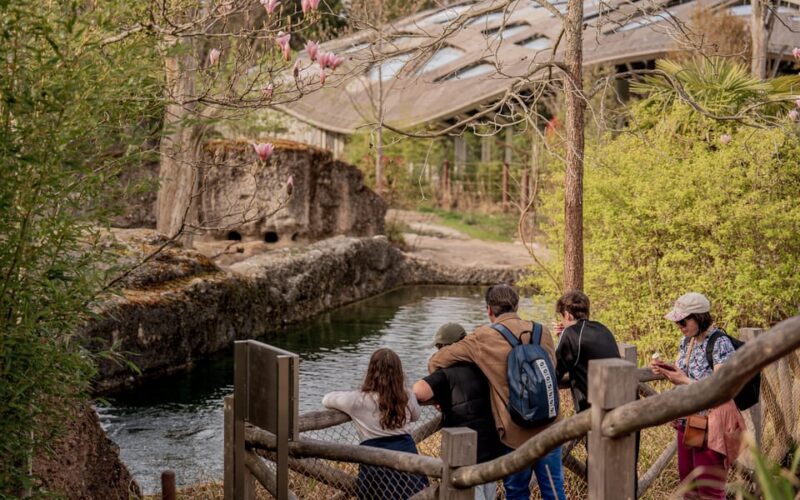 Zurich: Private Visiting and Photoshoot at Zoo Zurich! - Capturing Moments in the Zoo