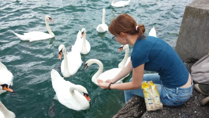 Zurich: Private Walking Tour With a Local Guide - Frequently Asked Questions