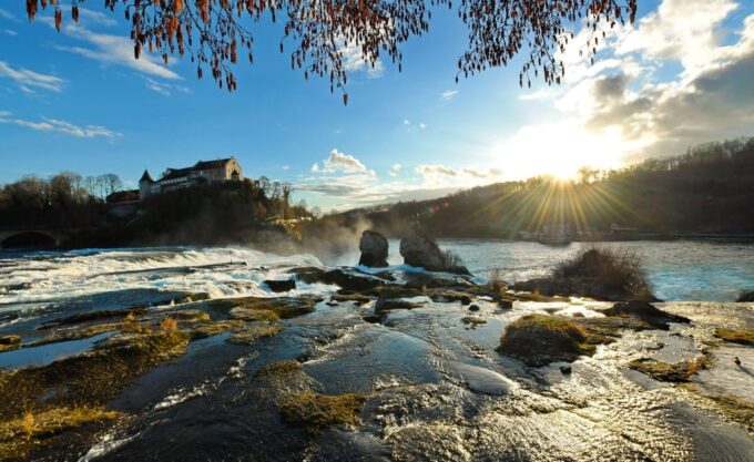 Zurich: Rhine Falls, Chocolate & Cheese Factory Day Trip - Customer Feedback and Ratings