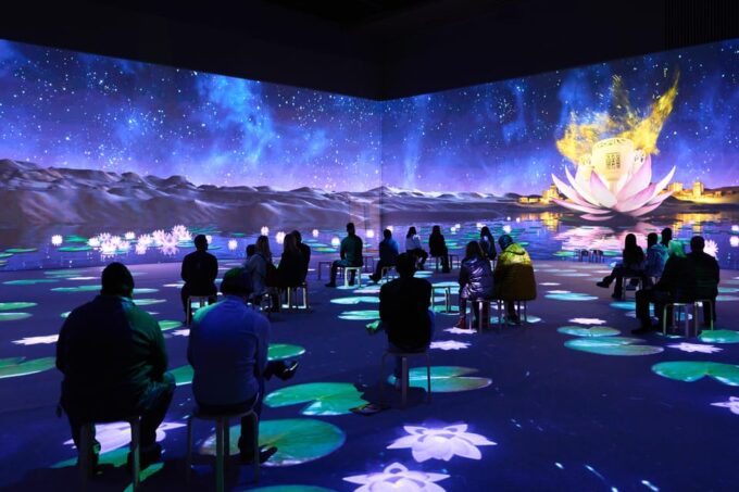 Zurich: Tutankhamun Immersive Exhibition Including VR Experience - Accessibility and Visitor Restrictions
