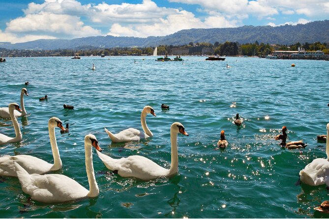 Zurich With Cruise and Lindt Home of Chocolate (Private Tour) - Cruise and Chocolate Experience