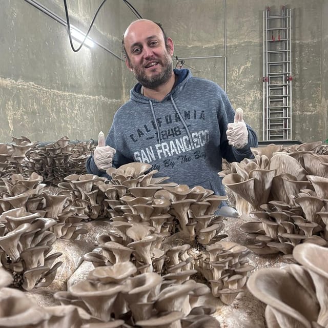 Zurich's Best-Kept Secret: the Hidden World of Mushrooms! - Educational Aspects