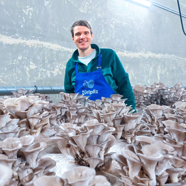 Zurich's Best-Kept Secret: the Hidden World of Mushrooms! - The Diverse World of Mushrooms